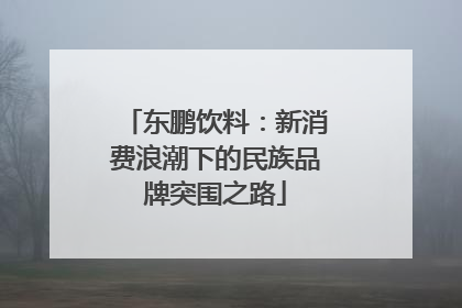 东鹏饮料：新消费浪潮下的民族品牌突围之路