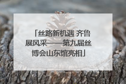 丝路新机遇 齐鲁展风采——第九届丝博会山东馆亮相