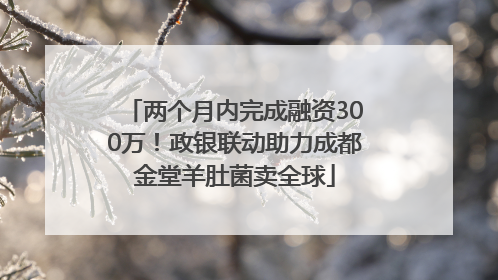 两个月内完成融资300万！政银联动助力成都金堂羊肚菌卖全球