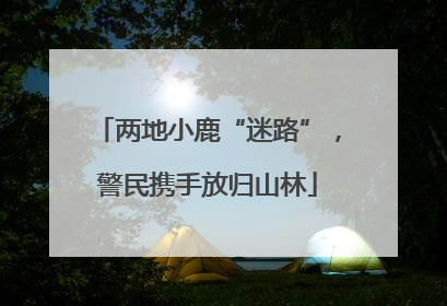 两地小鹿“迷路”，警民携手放归山林