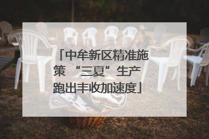 中牟新区精准施策 “三夏”生产跑出丰收加速度