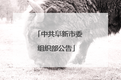 中共阜新市委组织部公告
