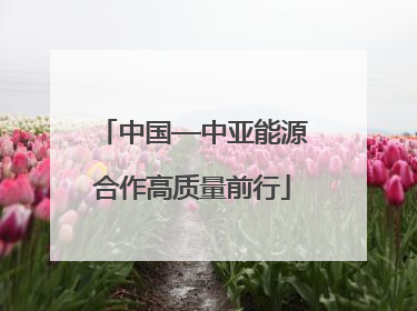 中国—中亚能源合作高质量前行
