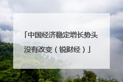 中国经济稳定增长势头没有改变（锐财经）
