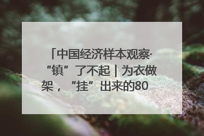 中国经济样本观察·“镇”了不起｜为衣做架，“挂”出来的80亿元“衣架产业”