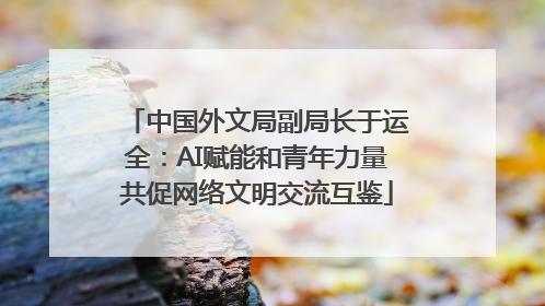 中国外文局副局长于运全：AI赋能和青年力量共促网络文明交流互鉴