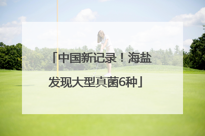 中国新记录！海盐发现大型真菌6种