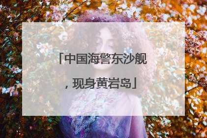 中国海警东沙舰，现身黄岩岛