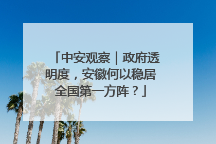中安观察｜政府透明度，安徽何以稳居全国第一方阵？