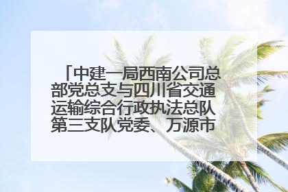 中建一局西南公司总部党总支与四川省交通运输综合行政执法总队第三支队党委、万源市草坝镇莲花院村党支部开展党建联建