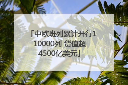 中欧班列累计开行110000列 货值超4500亿美元