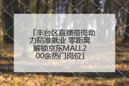 丰台区直播带岗助力精准就业 零距离解锁京东MALL200余热门岗位