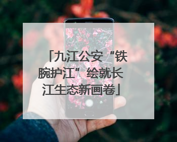 九江公安“铁腕护江”绘就长江生态新画卷