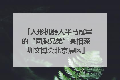 人形机器人半马冠军的“同胞兄弟”亮相深圳文博会北京展区