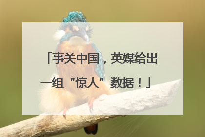 事关中国，英媒给出一组“惊人”数据！