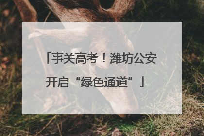 事关高考！潍坊公安开启“绿色通道”