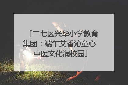 二七区兴华小学教育集团：端午艾香沁童心 中医文化润校园