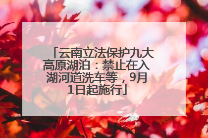 云南立法保护九大高原湖泊：禁止在入湖河道洗车等，9月1日起施行