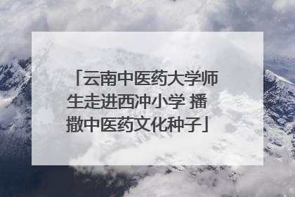 云南中医药大学师生走进西冲小学 播撒中医药文化种子