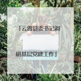 云霄县委书记调研基层党建工作