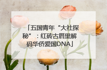 五国青年“大社探秘”：红砖古厝里解码华侨爱国DNA