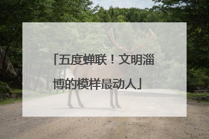 五度蝉联！文明淄博的模样最动人