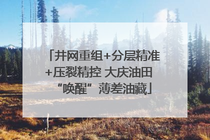 井网重组+分层精准+压裂精控 大庆油田“唤醒”薄差油藏