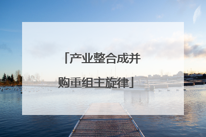 产业整合成并购重组主旋律