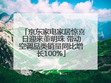 京东家电家居惊喜日迎来董明珠 带动空调品类销量同比增长100%