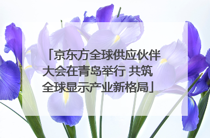 京东方全球供应伙伴大会在青岛举行 共筑全球显示产业新格局