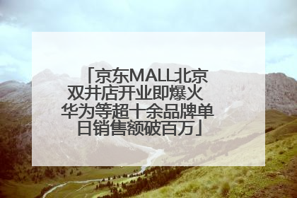 京东MALL北京双井店开业即爆火 华为等超十余品牌单日销售额破百万