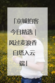 京城拍客今日精选｜风过麦浪香 白塔入云端