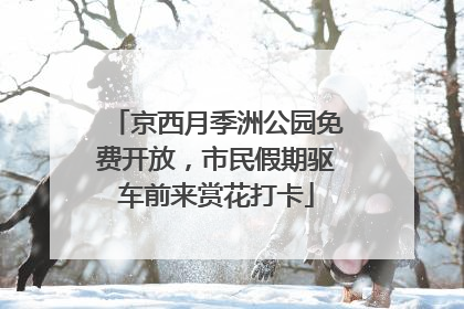 京西月季洲公园免费开放，市民假期驱车前来赏花打卡