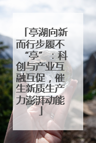 亭湖向新而行步履不“亭”：科创与产业互融互促，催生新质生产力澎湃动能