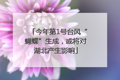 今年第1号台风“蝴蝶”生成，或将对湖北产生影响