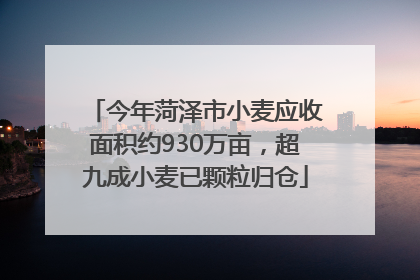 今年菏泽市小麦应收面积约930万亩，超九成小麦已颗粒归仓