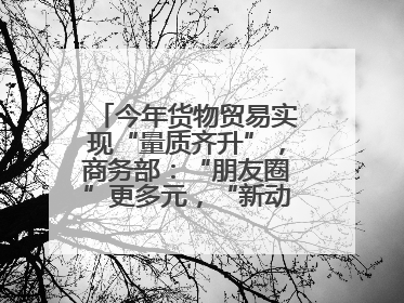 今年货物贸易实现“量质齐升”，商务部：“朋友圈”更多元，“新动能”加快集聚
