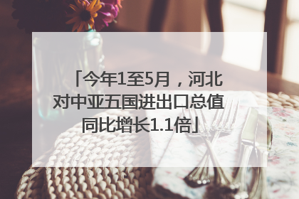 今年1至5月，河北对中亚五国进出口总值同比增长1.1倍