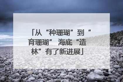 从“种珊瑚”到“育珊瑚” 海底“造林”有了新进展