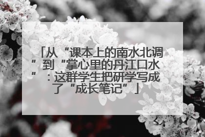 从“课本上的南水北调”到“掌心里的丹江口水”：这群学生把研学写成了“成长笔记”
