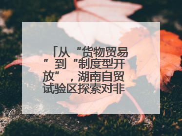 从“货物贸易”到“制度型开放”，湖南自贸试验区探索对非合作新模式