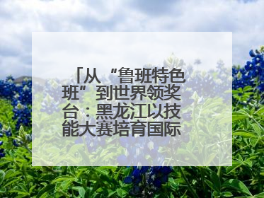 从“鲁班特色班”到世界领奖台：黑龙江以技能大赛培育国际级工匠人才
