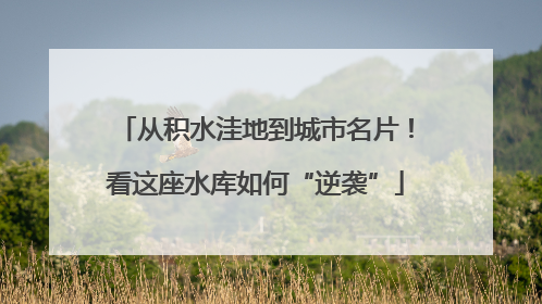 从积水洼地到城市名片！看这座水库如何“逆袭”