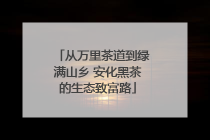 从万里茶道到绿满山乡 安化黑茶的生态致富路
