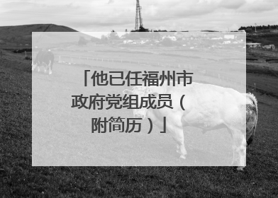 他已任福州市政府党组成员（附简历）
