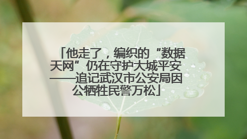 他走了，编织的“数据天网”仍在守护大城平安——追记武汉市公安局因公牺牲民警万松