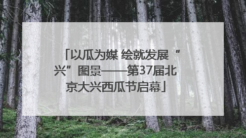 以瓜为媒 绘就发展“兴”图景——第37届北京大兴西瓜节启幕