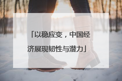 以稳应变，中国经济展现韧性与潜力