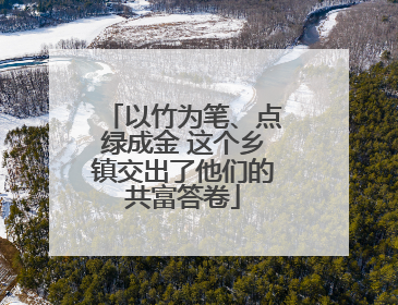 以竹为笔、点绿成金 这个乡镇交出了他们的共富答卷