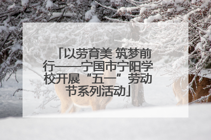 以劳育美 筑梦前行——宁国市宁阳学校开展“五一”劳动节系列活动